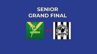 Gippsland League Senior Grand Final Leongatha vs Sale [upl. by Adnowat]