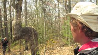 Linville Gorge 2012 with the Hickery Brothers PART 1 [upl. by Aekal]