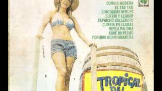 TROPICAL DEL BRAVO CUMBIA EN LLAMAS VOL2 1979 [upl. by Los]