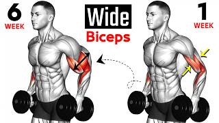 7 BEST Exercises for WIDER BICEPS [upl. by Yentruoc385]