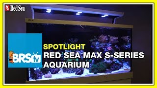 How to setup a complete reef system  Red Sea Max S Aquariums  BRStv Spotlight [upl. by Collayer]