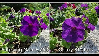 Samsung Galaxy A50 vs Galaxy S10 Plus Camera Comparison [upl. by Anigger]