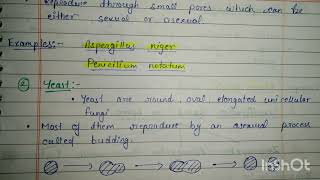 Morphological Classification of FUNGIMsc and bsc botany notes botanynotes biology [upl. by Augustine]