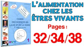 Azzedine Alami SVT 1APIC  Pages 323438 🦷 L’alimentation chez les êtres vivants [upl. by Nnaillek741]