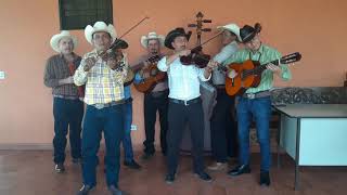 Moneda Sin Valor Conjunto Familias Unidas Honduras [upl. by Eatton102]