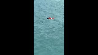 Man Survives Milton Clinging To A Cooler In The Gulf [upl. by Efthim]