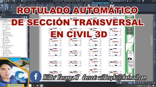 ROTULADO AUTOMÁTICO DE SECCIÓN TRANSVERSAL EN CIVIL 3D 2015 – 2025 R12 [upl. by Aniluj]