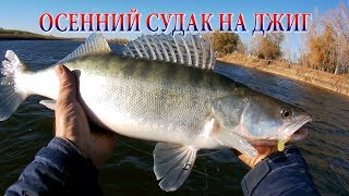 ОХОТА НА СУДАКА ПОЗДНЕЙ ОСЕНЬЮ ДЖИГ НА АХТУБЕ Сломал спиннинг [upl. by Krum]