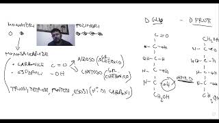 Riassunto carboidrati monosaccaridi e disaccaridi 5Sc [upl. by Zindman]