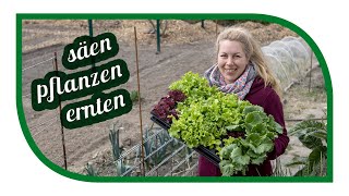 Aussaaten und Gartenarbeiten im April  Säen Pflanzen und Ernten für die Selbstversorgung [upl. by Gauldin]