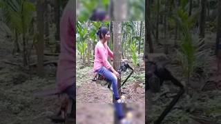 Coconut Tree climbing machine  Made in India 🇮🇳 [upl. by Naor]