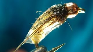 Tying the Catgut Caddis Pupa with Davie McPhail [upl. by Weissberg]