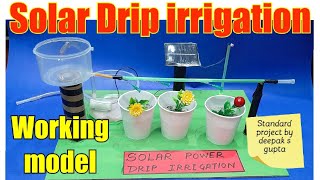 Solar drip irrigation working model dripirrigation solar solardripirrigationsystem sciencemodel [upl. by Othello]