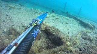 Ρηχοκαρτερα Gavros spearfishing [upl. by Capwell]