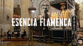 ESENCIA FLAMENCA  La Esperanza de María  Ronda Málaga [upl. by Marc449]