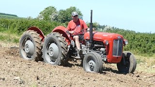 Massey Ferguson 35 quotDouble Buttquot Ploughing w 4Furrow Ferguson Plough  Ferguson Days 2017 [upl. by Roselane787]