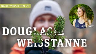 WEISSTANNE ÄHH  DOUGLASIE  Laura klärt Baumarten auf [upl. by Hochman]