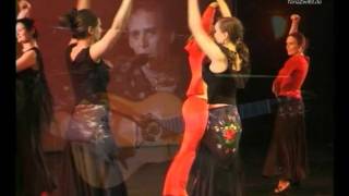 Flamenco tanzen lernen in der Tanzschule Berlin  TanzZwiEt [upl. by Aniroc]