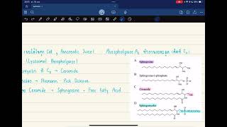 Pharm Biochem  Phospholipid and Eicosanoid Metabolism [upl. by Torey]