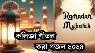 কোটি মানুষের কলিজা শীতল করা গজল  Bangla new gajal 2024  Ramadan new gajal in bangla 2024 [upl. by Negaet]