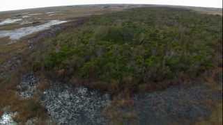 Everglades Mountains and Valleys Tropical Hardwood Hammock [upl. by Ynahteb]