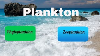 Difference between Zooplankton and Phytoplankton [upl. by Htide]