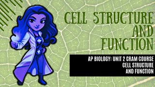 AP Biology College Prep CRASH CRAM COURSE Unit 2 Cell Structure and Function Diving in More 22 [upl. by Ahsertal273]