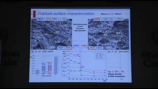 Towards a unified and practical industrial model for prediction of hydrogen embrittlement and damage [upl. by Panther]