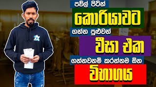 කොරියාවේ විසා මාරු කරන්න මරු kiip විභාගේ  사회통합프로그램 kiip exam  oppasl [upl. by Hashim]