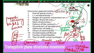 Transpyloric Plane and Anterior Abdominal Wall Layers [upl. by Leerzej]