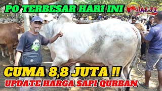 HANYA 88 JUTA SAJA‼️HARGA SAPI QURBAN 2024 TERBARU HARI INI  PASAR WAGE BUMIAYU af72bumiayu [upl. by Fanni943]