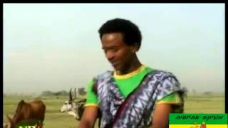 Melaku Nigus track 4 2013 New Ethiopian music Rayan Music Wollo Music Ethiopian Music [upl. by Adirf]