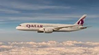 Qatar Airways qatarairways airlines qataria gcc bestairlines viralvideo viral explore doha [upl. by Foscalina]