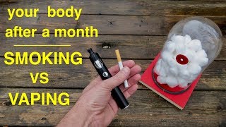 How Smoking vs Vaping Affects Your Lungs ● You Must See This [upl. by Devora814]