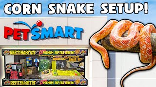 Corn Snake Setup for Beginners [upl. by Lemkul90]