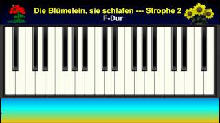 KARAOKE  ZUM MITSINGEN 23 Die Blümelein sie schlafen [upl. by Notirb830]