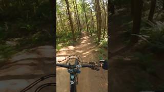 Flow is great bicycle mountainbiken mountainbikes biking mtb [upl. by Fennell]