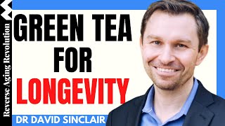 GREEN TEA FOR LONGEVITY  Dr David Sinclair Interview Clips [upl. by Harcourt]