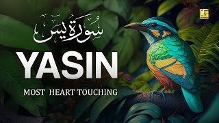 Worlds most beautiful Quran recitation of Surah Yasin Yaseen سورة يس  Zikrullah TV [upl. by Anneiv]