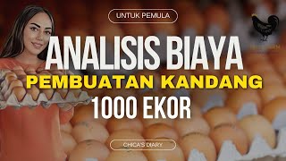 MODAL PEMBUATAN AYAM PETELUR 1000 EKOR  UNTUK PEMULA [upl. by Tingey]