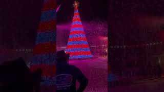 2023 Dollywood Smoky Mountain Christmas  Christmas Tree Light Show [upl. by Nnarefinnej799]