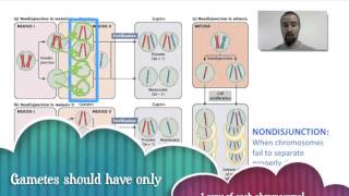 Biology 077 Cancer and Chromosomal Abnormalities [upl. by Ibbetson]