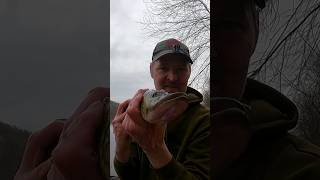 Huge pickerel fishing angler fish lake [upl. by Aserret]