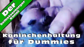 Kaninchenhaltung fuer Dummies [upl. by Baniaz]