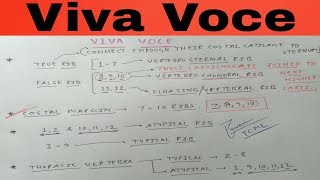 Anatomy Viva Voce  Ribs [upl. by Zorana]