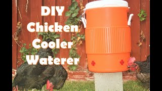 DIY Chicken Waterer from 5Gallon Cooler [upl. by Bowman19]