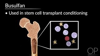 Conditioning Side Effects in Stem Cell Transplant by S Margossian  OPENPediatrics [upl. by Nawat]