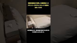 羽田空港へのアクセス抜群のグランパークホテル パネックス東京Grand Park Hotel Panex Tokyoに泊まってみた [upl. by Rahman]