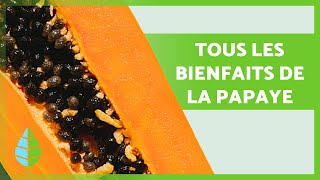 BIENFAITS de la PAPAYE pour la SANTÉ 🧡 Propriétés et comment la manger ✅ [upl. by Auhsaj479]