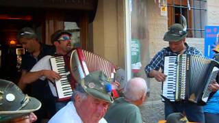 ADUNATA ALPINI 2014 PORDENONE [upl. by Gnilyarg]